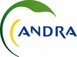 Logo_ANDRA.jpg