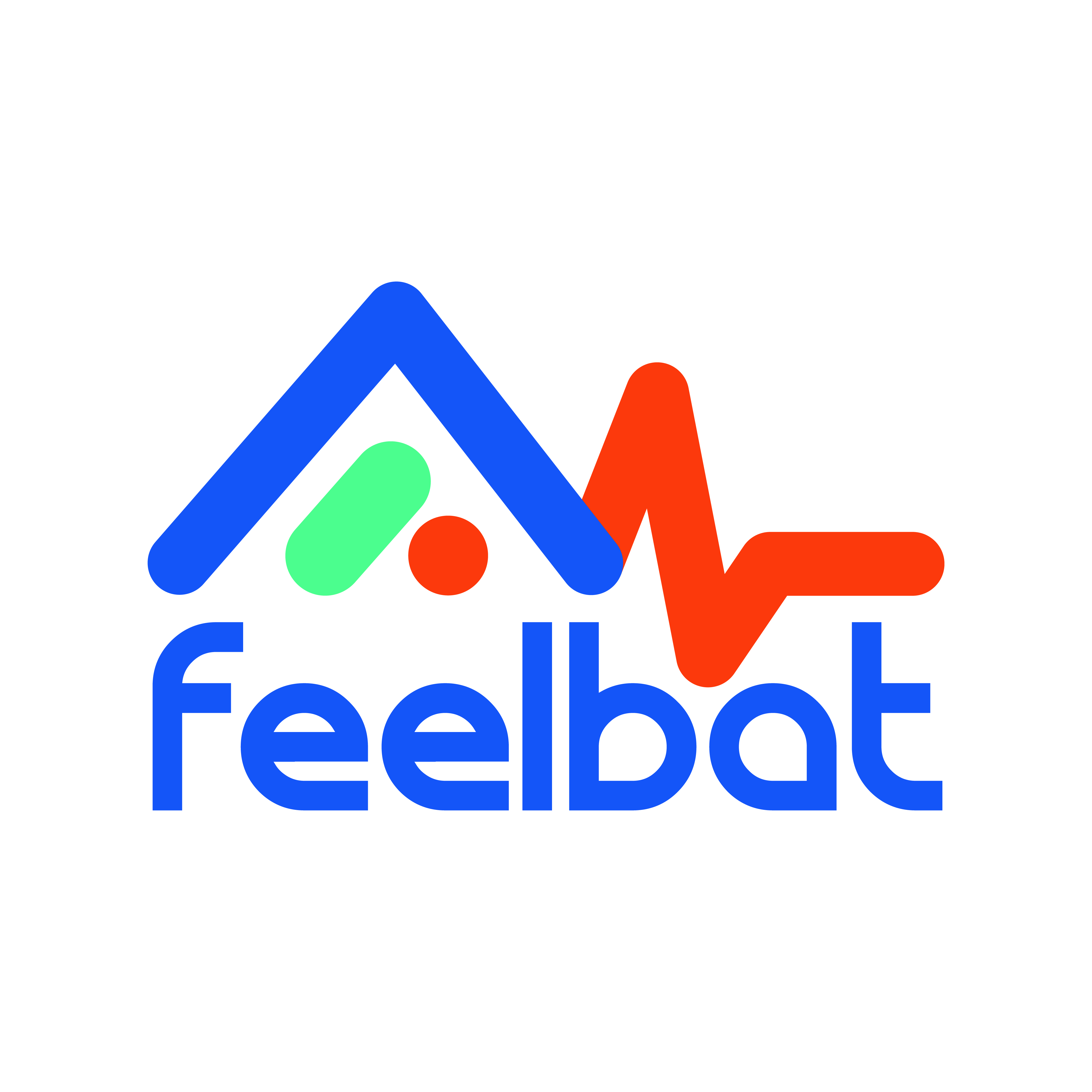 Logo_FEELBAT_COULEUR_.jpg